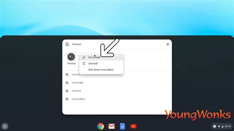 Python Chromebook 的图像结果