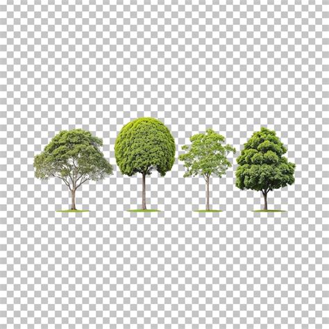 Arboles arquitectura Images - Free Download on Freepik