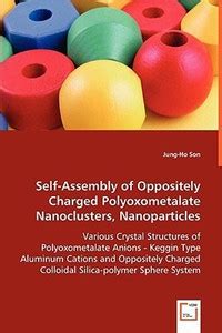 Self-Assembly of Oppositely Charged Polyoxometalate Nanoclusters ...
