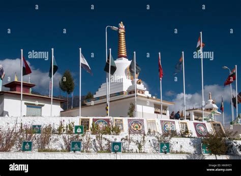 Image result for Sequential Example