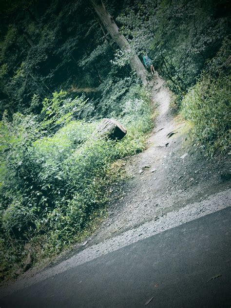 Hiking Trail Hiking Trails Country Roads Trail