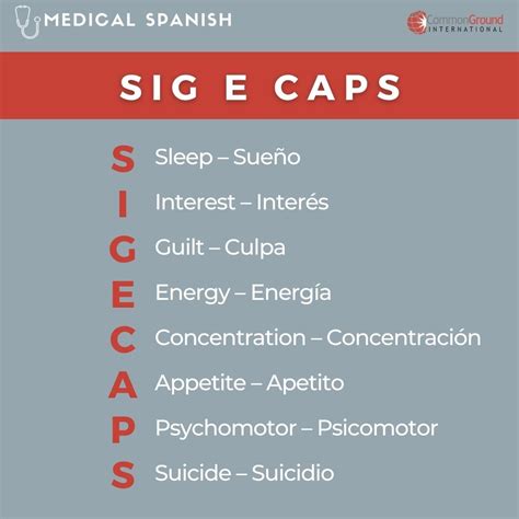 SIG E CAPS acronym / acrónimo SIG E CAPS | Learning spanish, Spanish ...