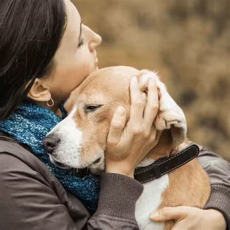 Small Stray Animals Cremation Services in Delhi