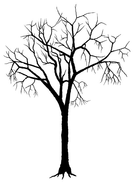 Tree Silhouette Clip Art Silhouettes