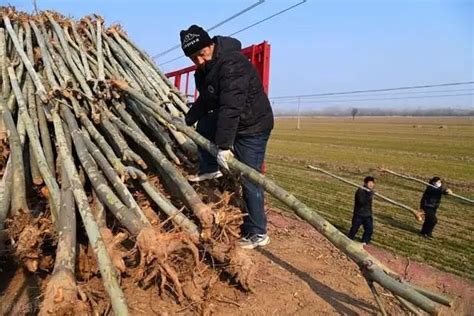 小两口因为拍视频闹矛盾，俩人你说一句我怼一句，一会就要整恼火_凤凰网视频_凤凰网