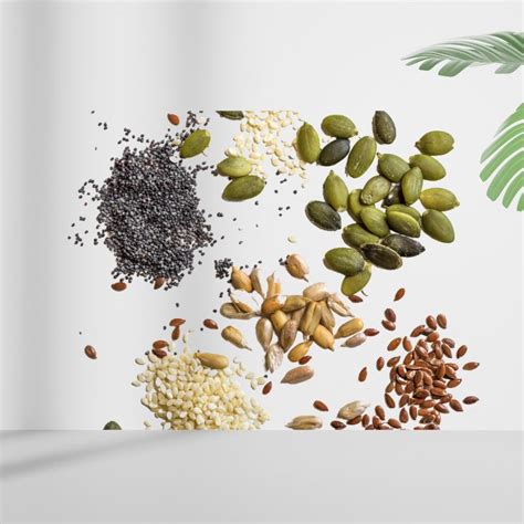 Buy Sunflower Seeds Online - Premium Quality, Dry Fruit and Seed Mix ...
