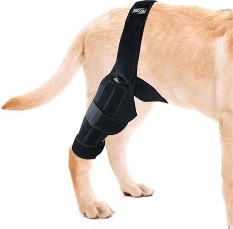 Amazon.com : BNOSDM Dog ACL Knee Leg Brace, Dogs Leg Braces for Back ...