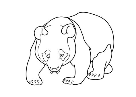 Free Giant Panda Coloring Pages
