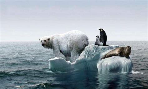 温室效应 的图像结果