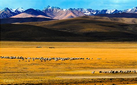 日喀则旅游地图;日喀则景点地图