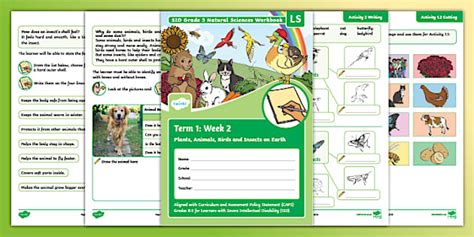 SID: Grade 5 Natural Sciences Booklet Term 1 Week 2 LS