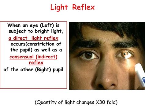Image result for Less Rust Texture