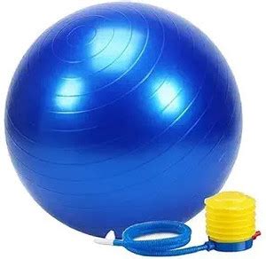 GJSHOP Exercise Ball 55cm with Foot Pump for Workout Yoga Workout Gym ...