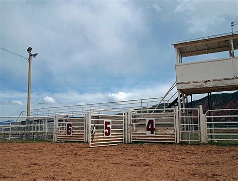 GATES OPEN 4.30PM pre-event ENTERTAINMENT rodeo 6.30pm (6) Aesthetic
