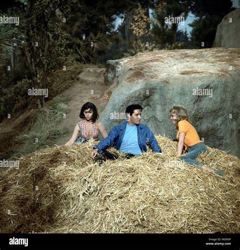 RELEASED: Mar 6, 1964 - Original Film Title: Kissin' Cousins. PICTURED ...