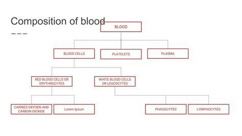 Circulation Class 12 的图像结果