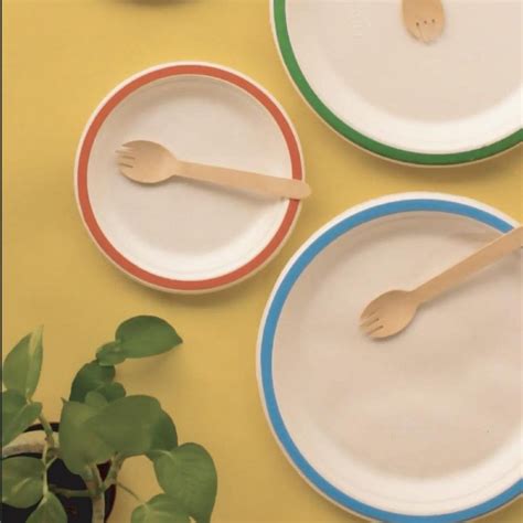 How Ecoware became India's largest sustainable packaging company