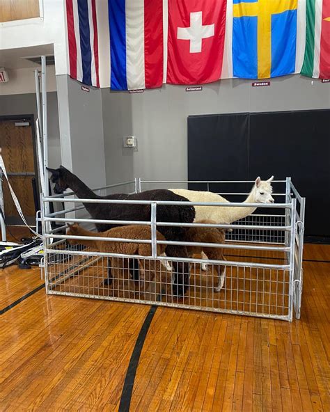 Education abroad CU (@cu_educationabroad) • Instagram photos and videos