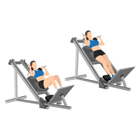 Woman doing machine hack squat exercise. Flat vector 22605927 Vector ...