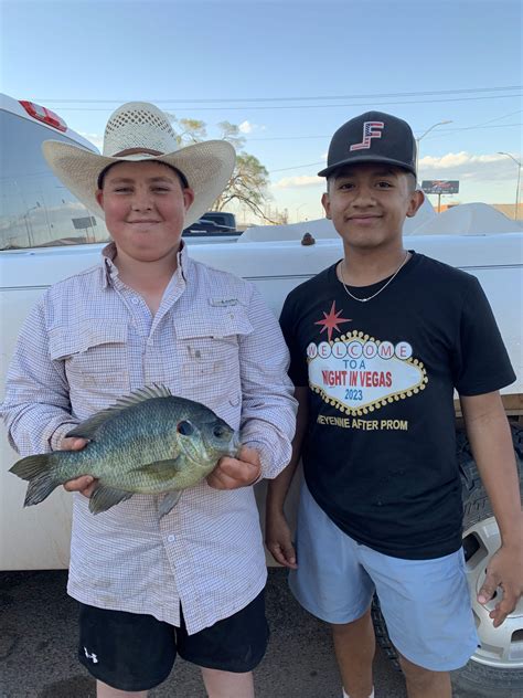 World Record Sunfish
