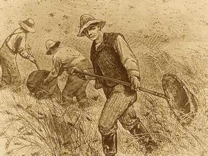 Insectos e incertidumbre | Meer