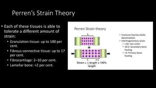Image result for Feature Writing Structure Example