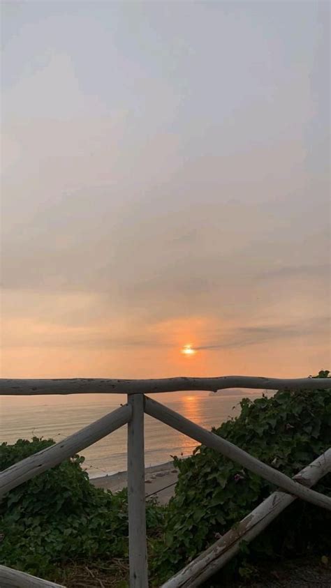 夕阳 的图像结果