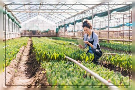 Commercial Farming 的图像结果