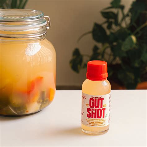 Gut shot - Natural Probiotic Drink 60ml (HYD) – Bombucha.in