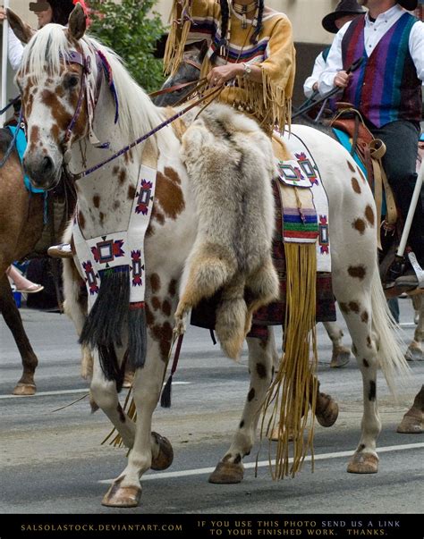 Native 7 by SalsolaStock on deviantART | Native american horses, Indian ...