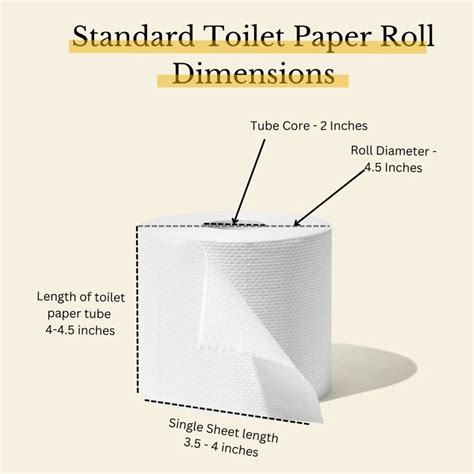 Toilet Paper Roll Dimensions (A Quick Guide) - Hooked Home