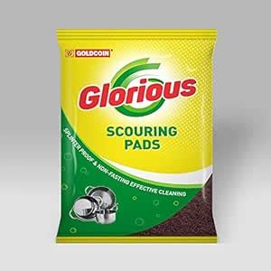 GLORIOUS POWER Heavy Duty Nylon Scrub Pad,3x4 Inch (10 Pieces, Green ...