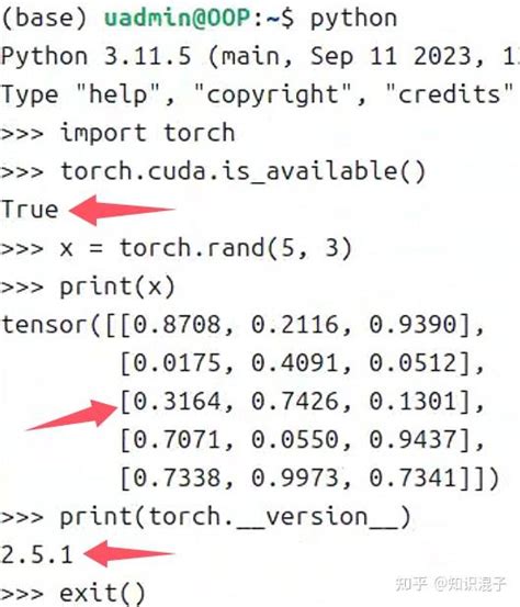 Python Pytorch Compatibility 的图像结果