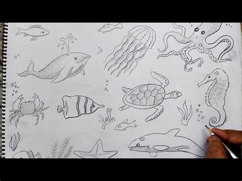 how to draw water animals I how to draw sea animals realistic I how to ...
