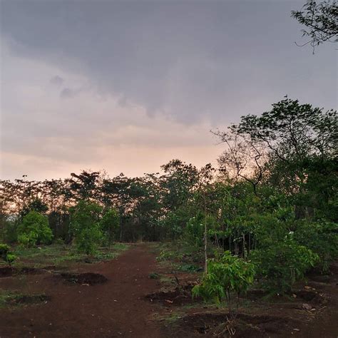 TALJAI HILL (2026) All You SHOULD Know Before Going (with Photos)