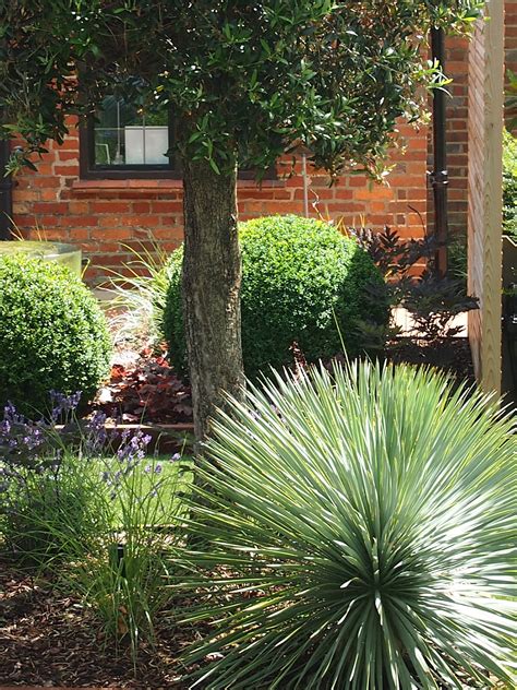 Best Outdoor Plants For Year Round at Matthew Calzada blog