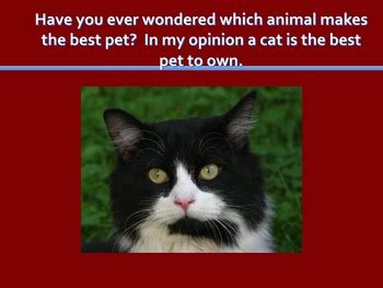 Image result for Cat Command in Shell Script