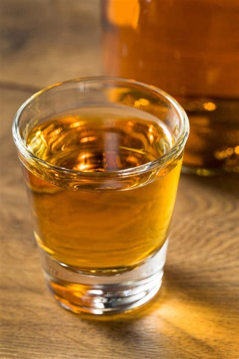 What is Malort - A Spectacled Owl