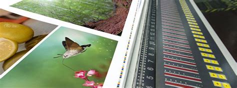 Color Prints 的图像结果