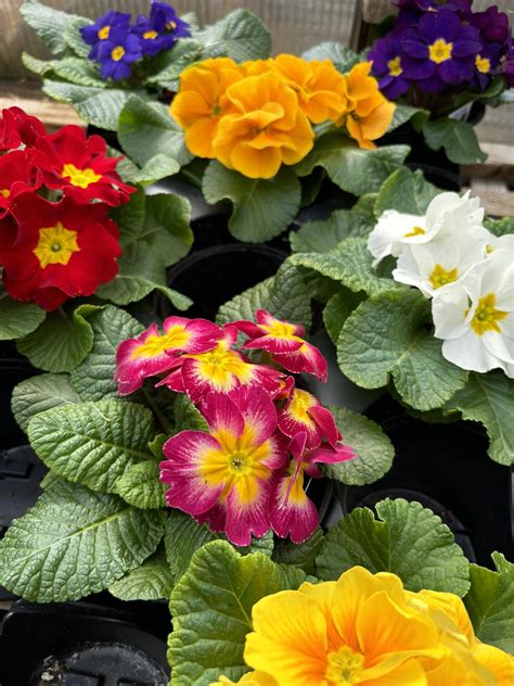 Obituaries In York - Pennsylvania - It is with deep sorrow that we ...