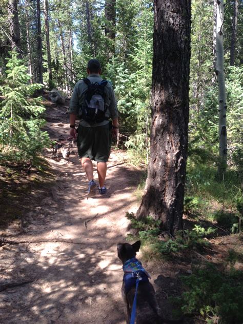 Maxwell Falls Hike | Nicole Wilker