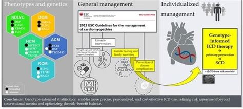 Risk Stratification and Optimal Use of Implantable Cardioverter ...