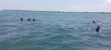 Pasikuda Tourism (2024): All You Need to Know Before You Go