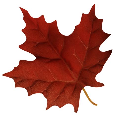 Clip Art Maple Leaf