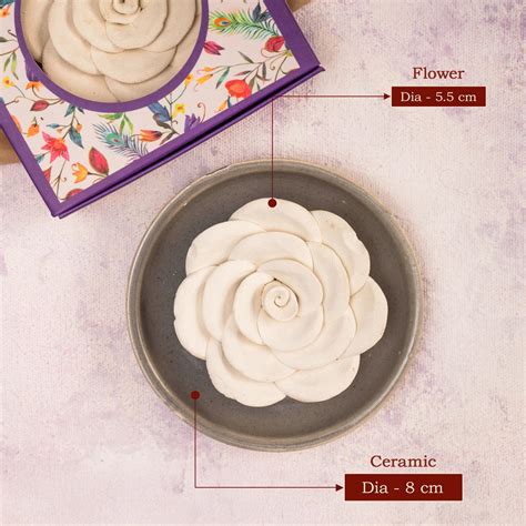 Diwali Fragrance Gift Sets - Festive Fragrance Essentials – The Zappy Box
