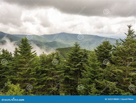 View of the Pisgah National Forest from the Summit of Mount Mitchell in ...