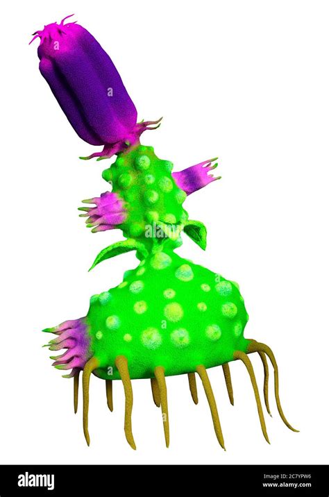Image result for Alien Plant 3D Inseminate