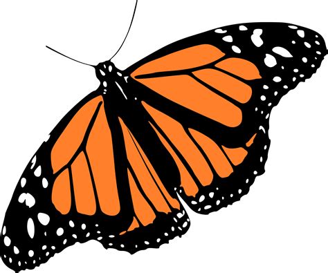 Monarch Butterfly Clipart