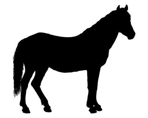 Horse Head Silhouette Clip Art Free at Ashley Cianciolo blog