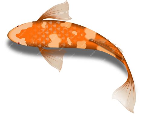 Free Koi Fish Clipart Png